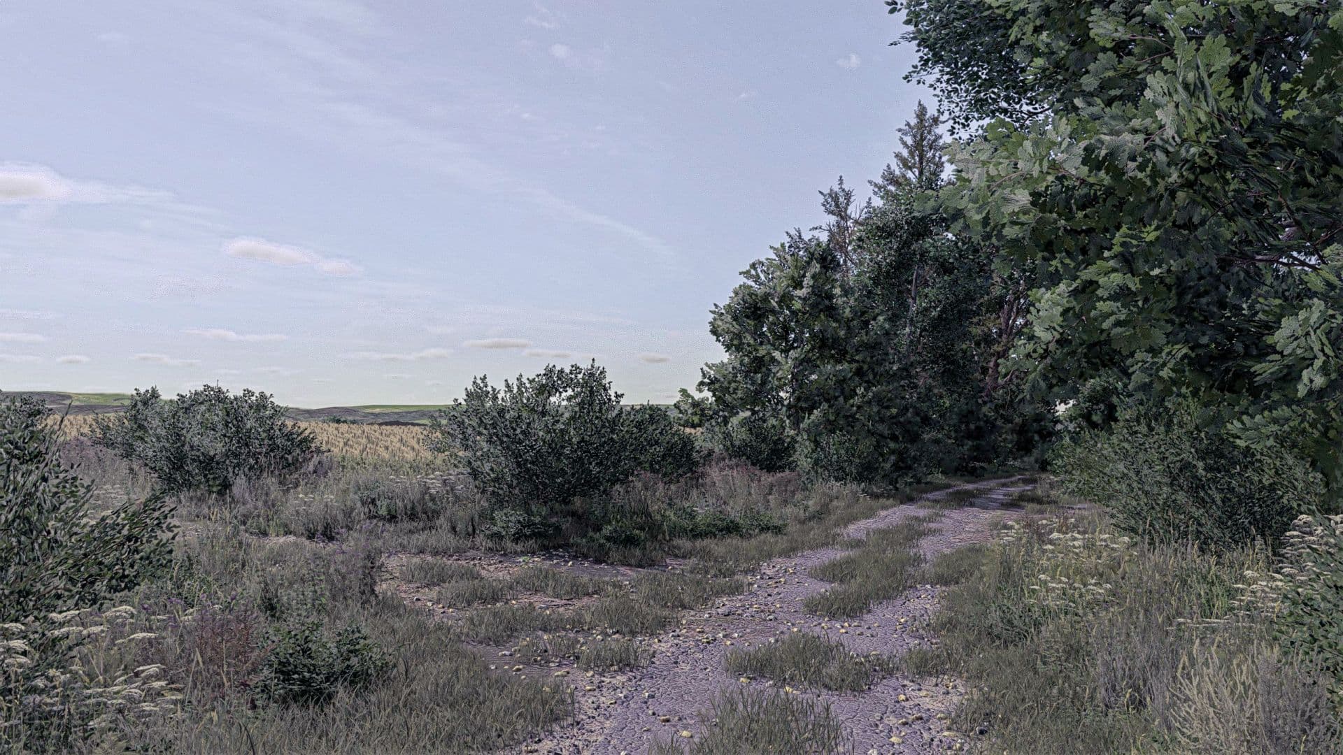Osina Wielka 4x 5