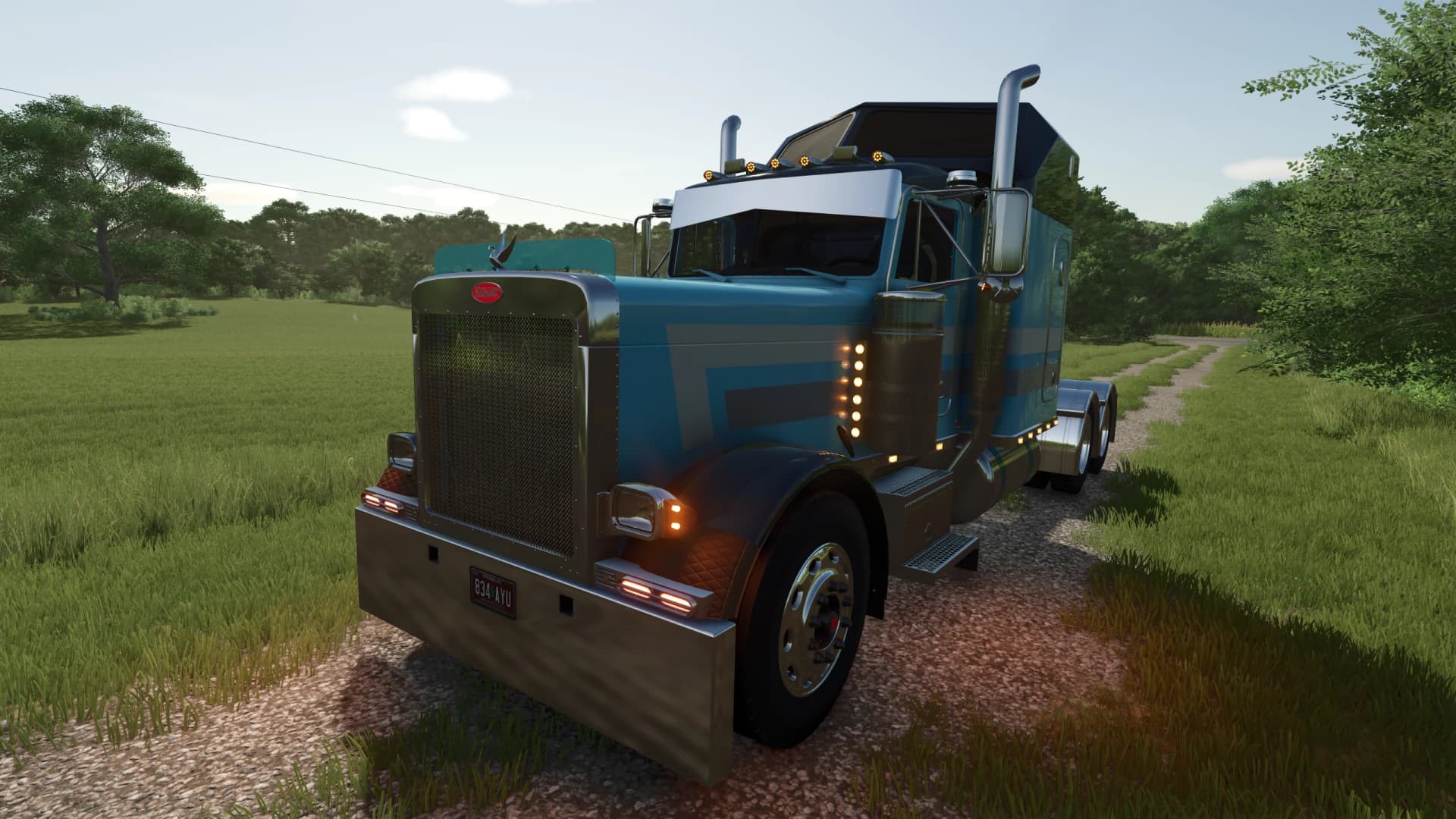Peterbilt 379 Pack 3
