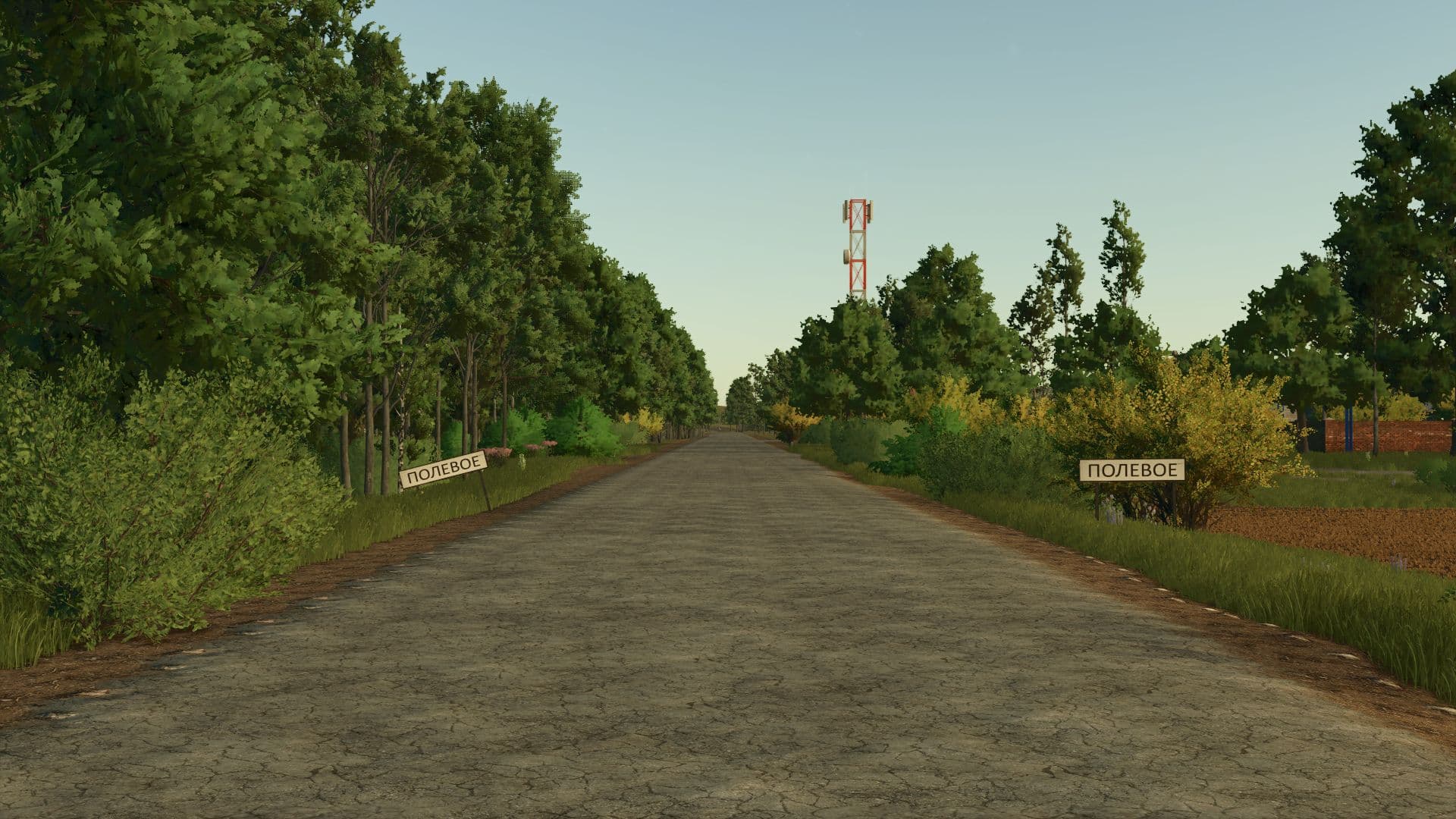 Polevoe 2