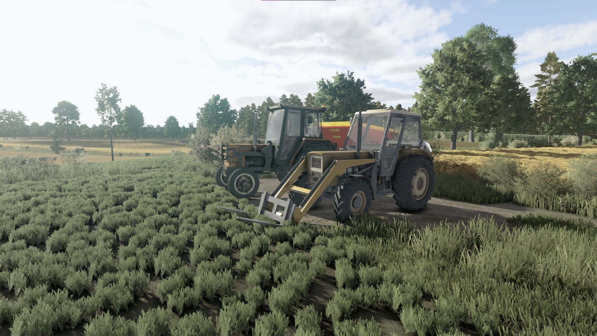 Skrzypek Shader 4