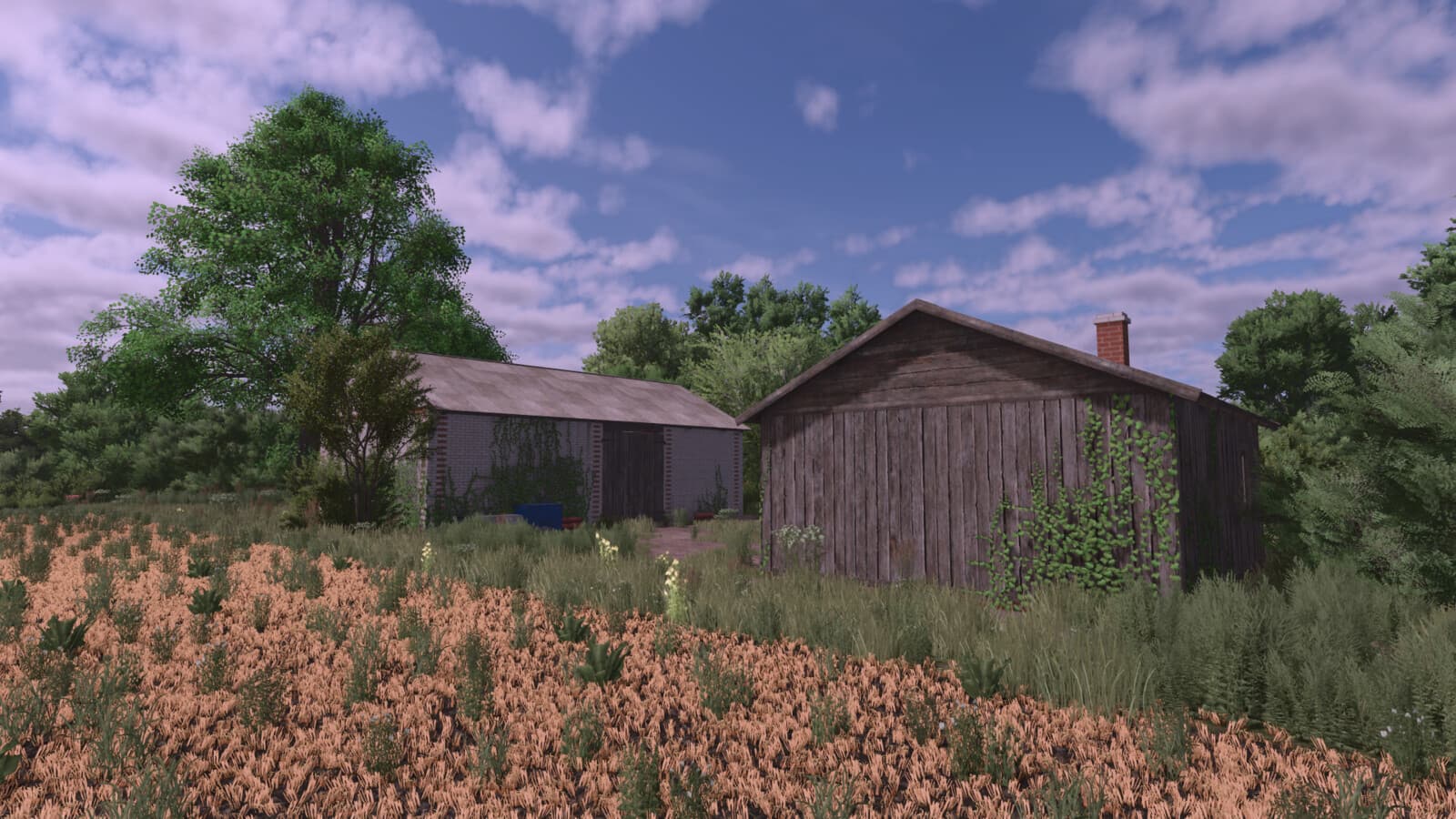 Small Polish Farm Package 5