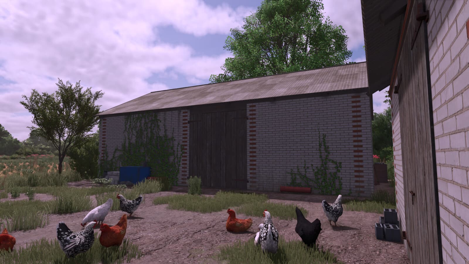 Small Polish Farm Package 3