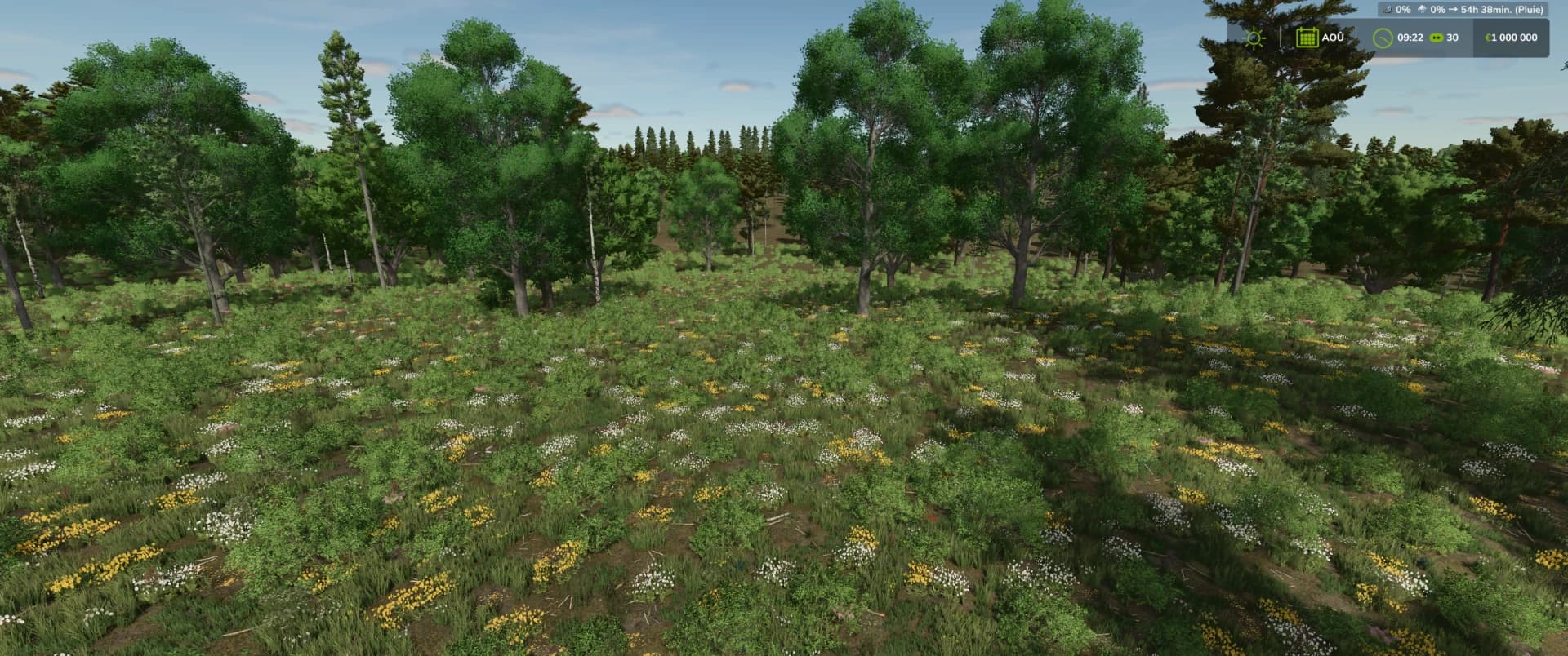 VALLOMBROSA FOREST 4