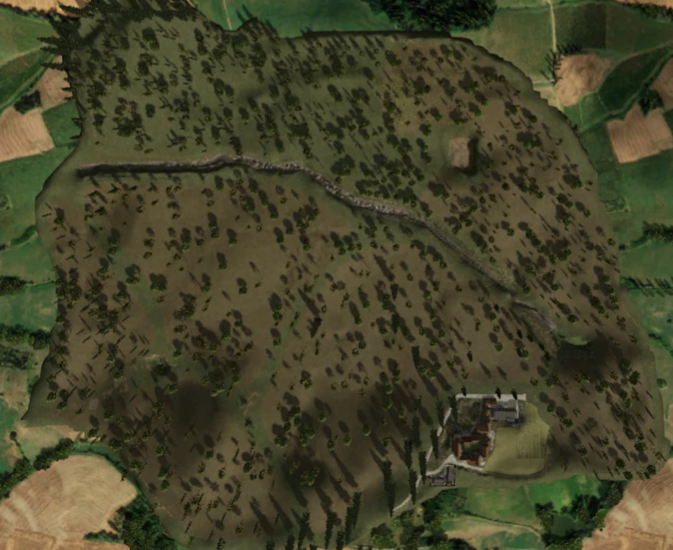 VALLOMBROSA FOREST 2