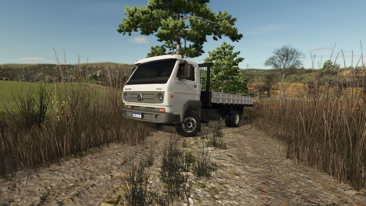 Volkswagen Delivery 9.15 2