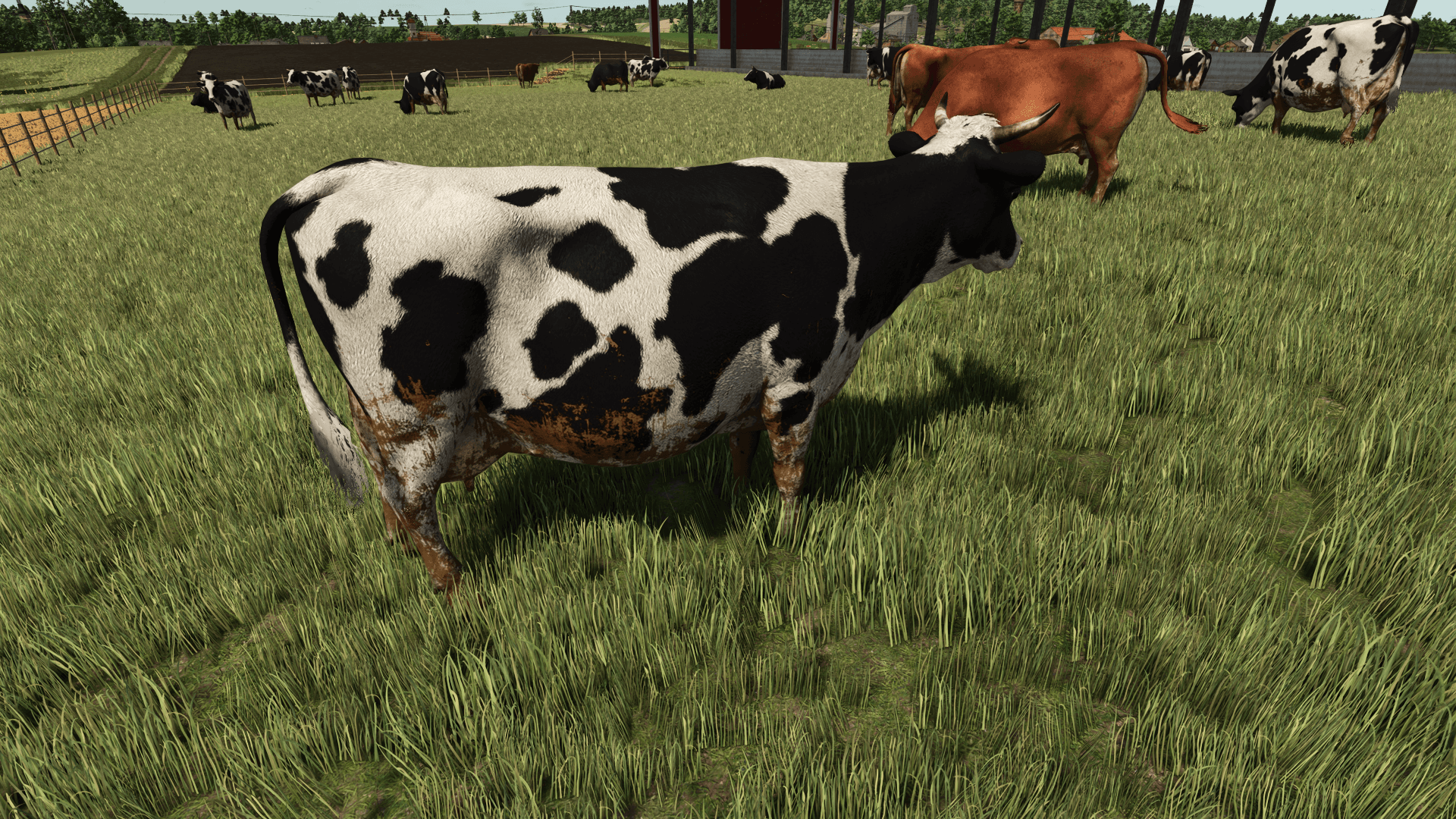 Animal Dirt Wash