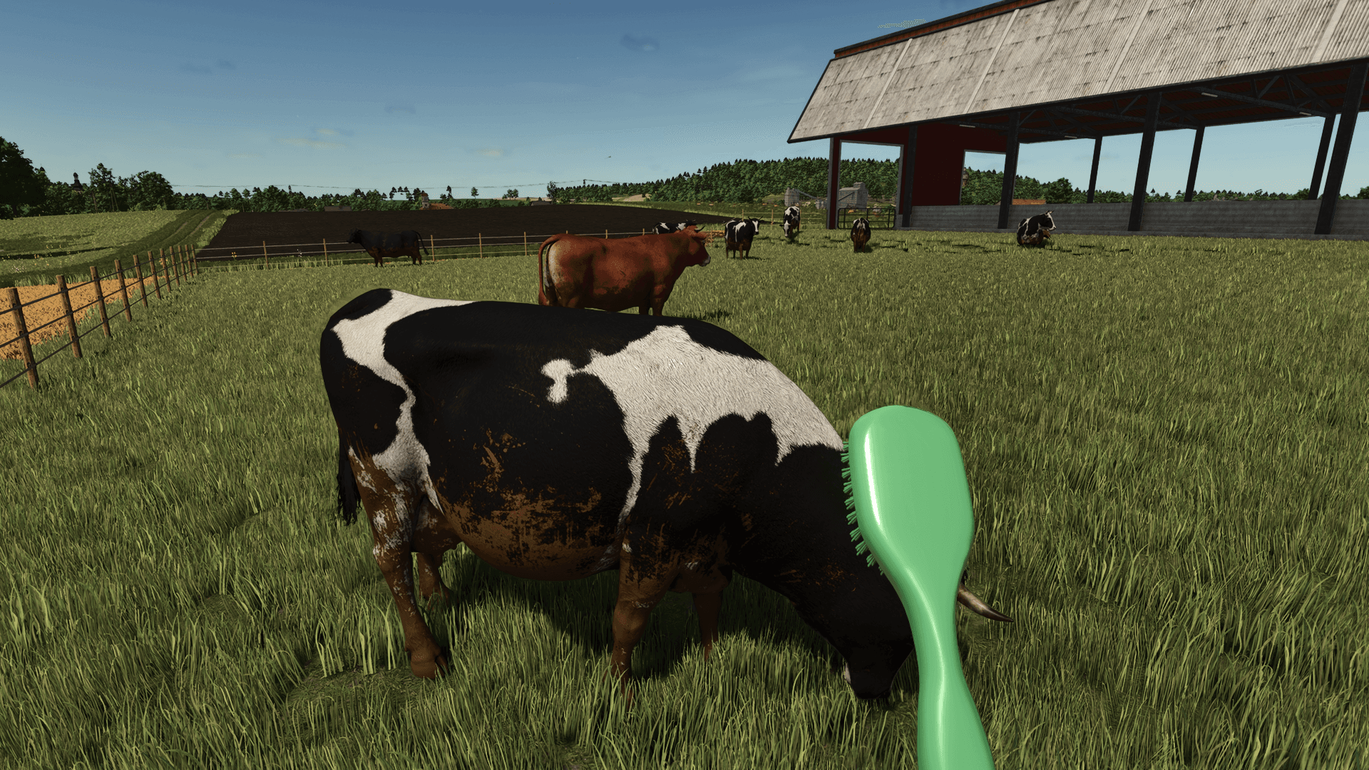 Animal Dirt Wash 2