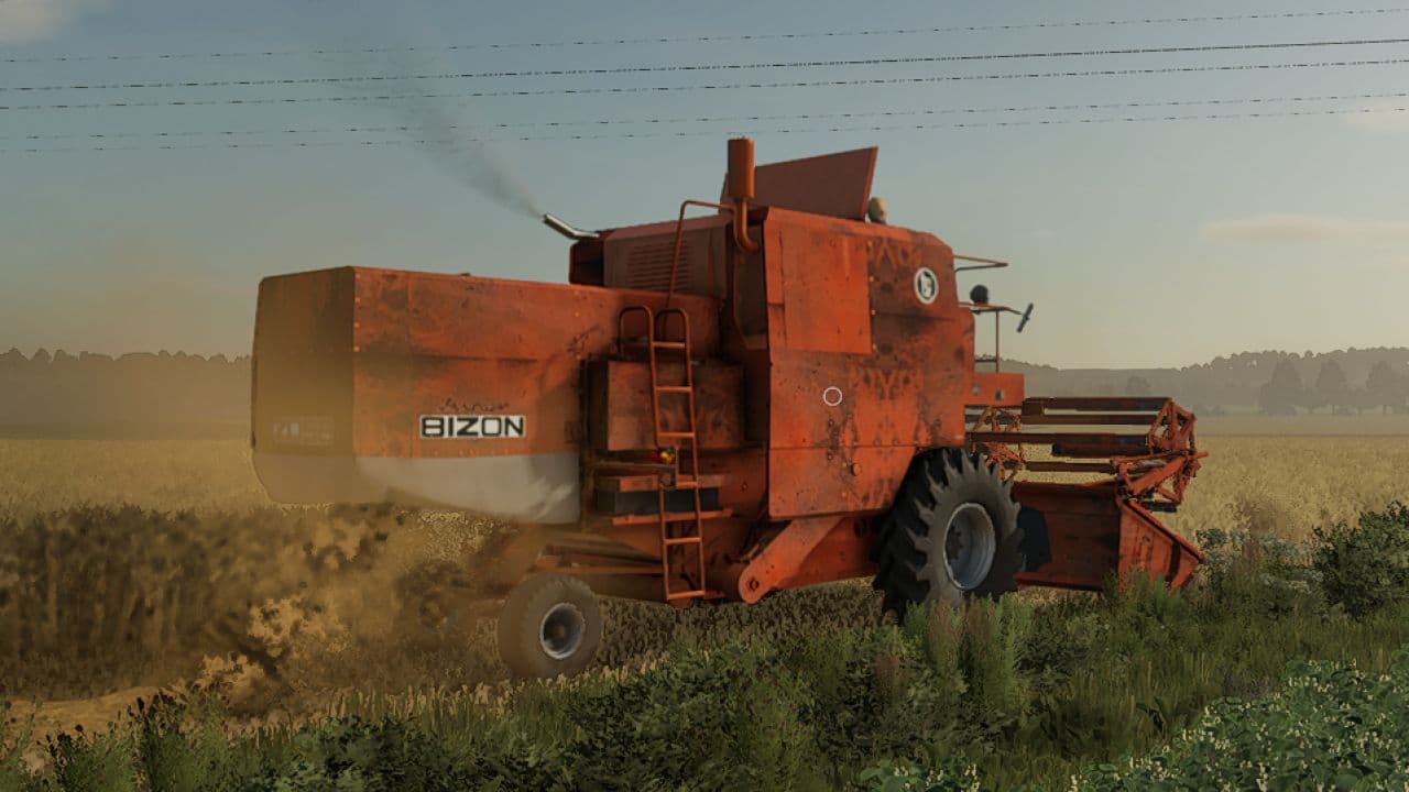 Bizon Z056 (rusty) 6