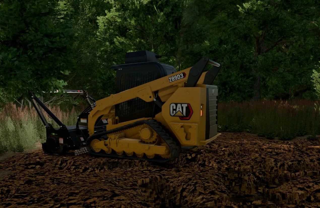 CAT 289 2