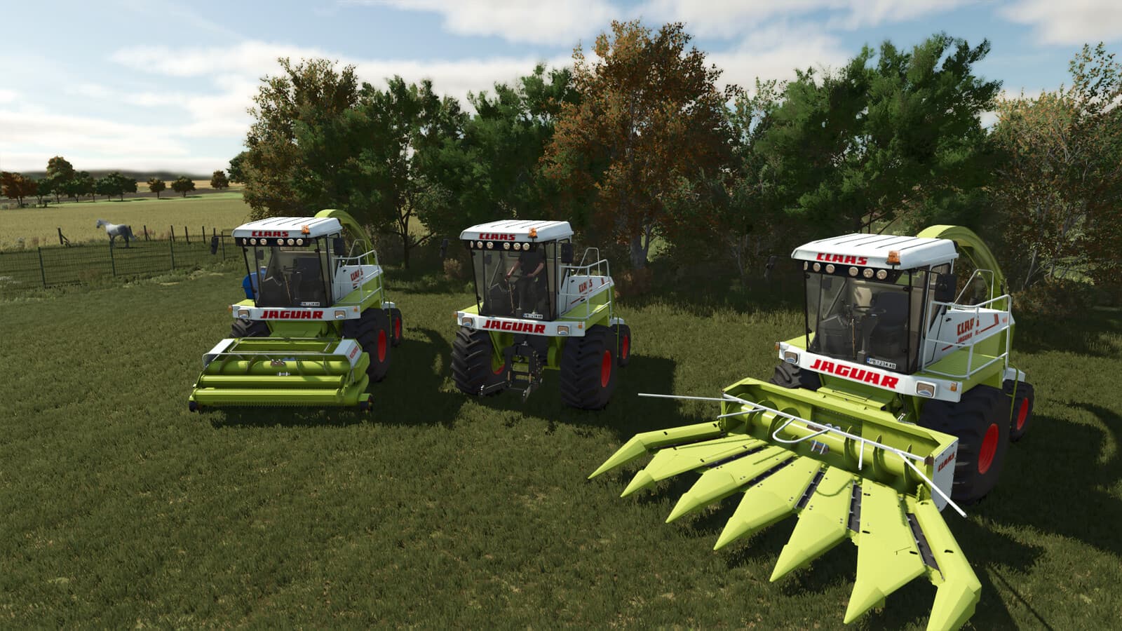 CLAAS Jaguar 695 3