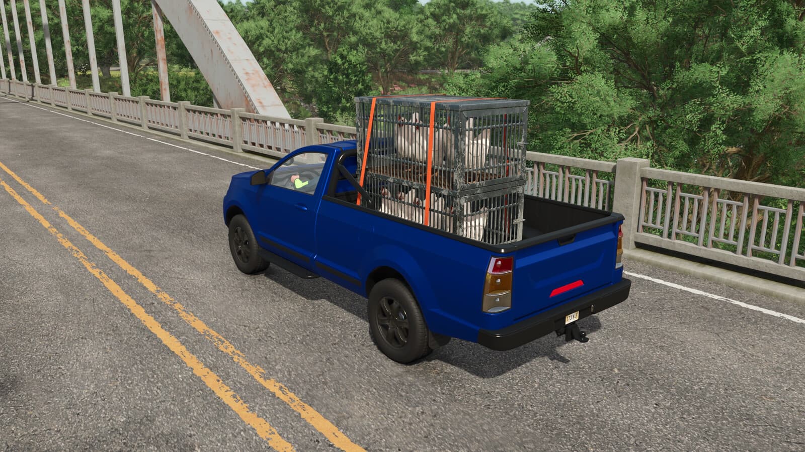 Chicken Transport Cage 3