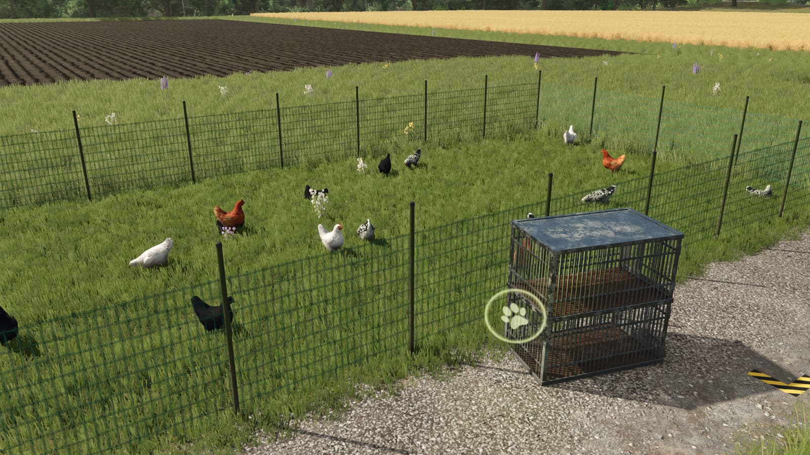 Chicken Transport Cage 2