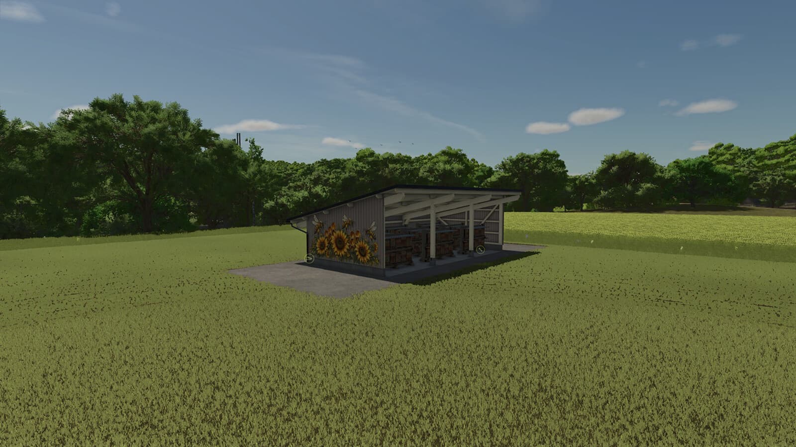 Commercial Apiary 2
