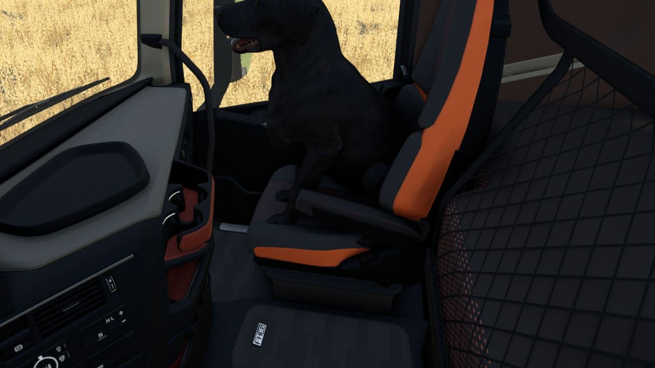 Dog Companion 3