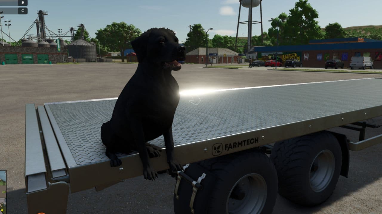 Dog Companion 2