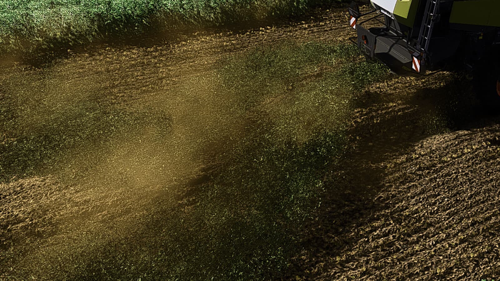 Faba Beans (Prefab*) 3