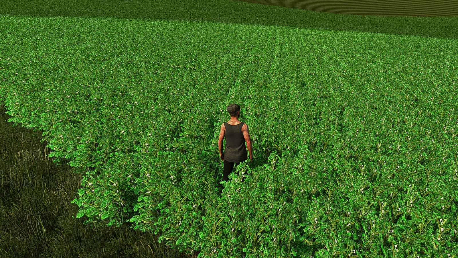 Faba Beans (Prefab*) 2