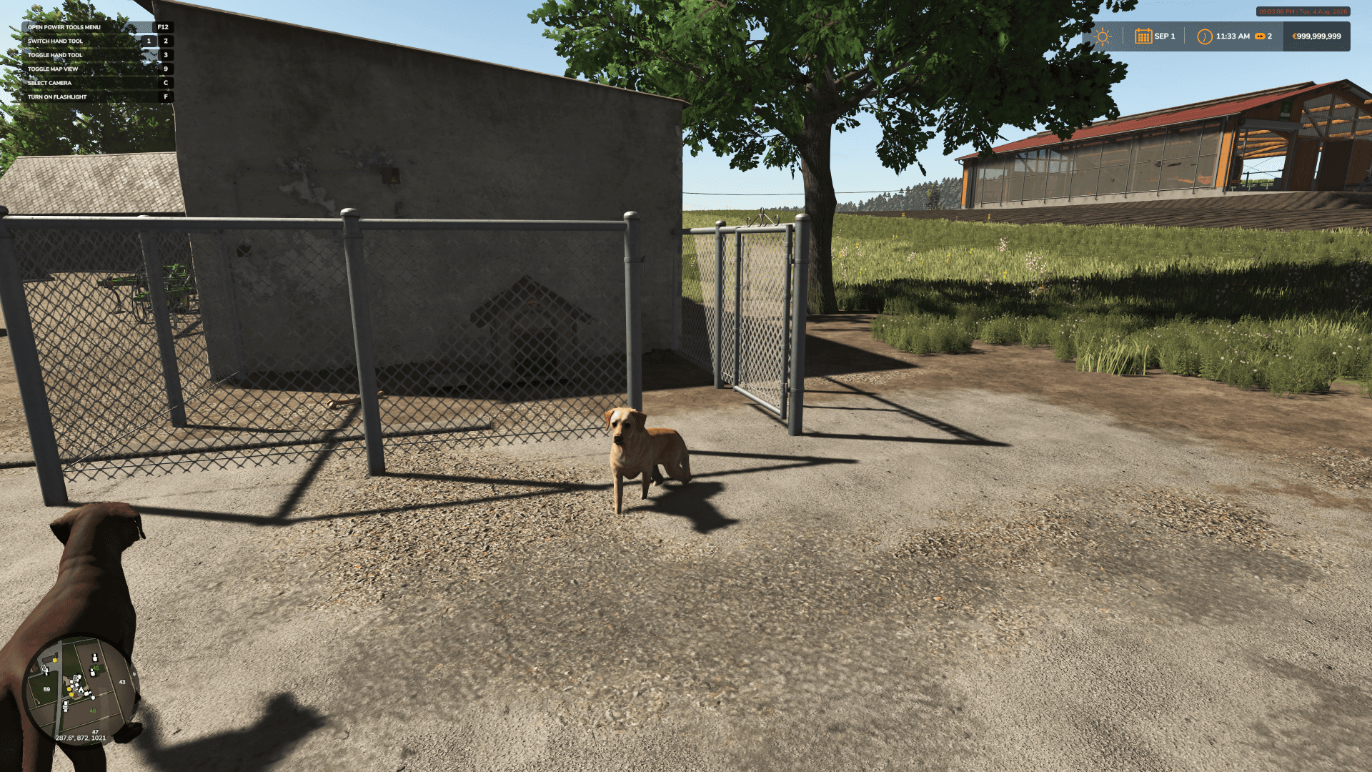 HB Doghouse 3