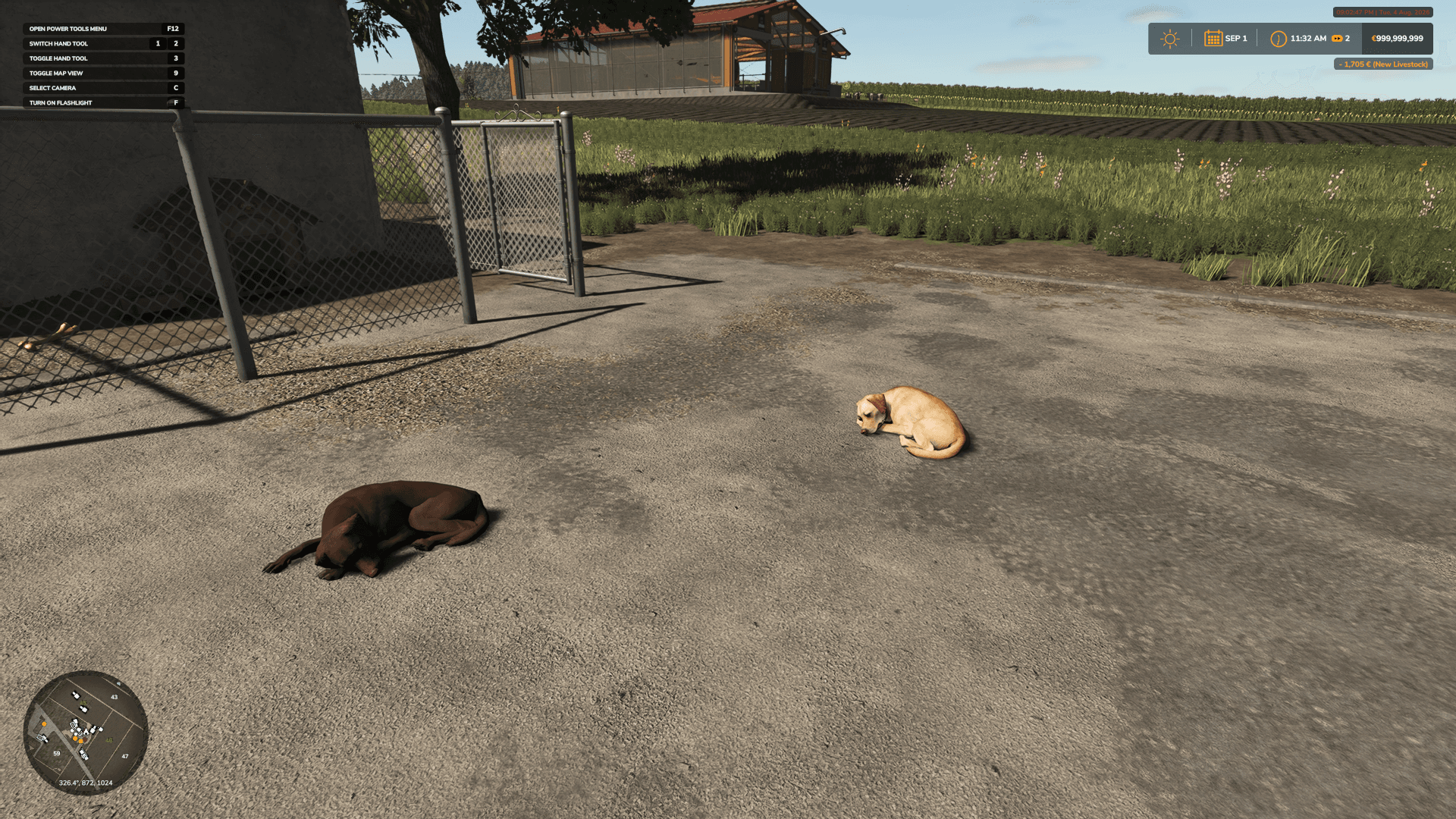 HB Doghouse 2