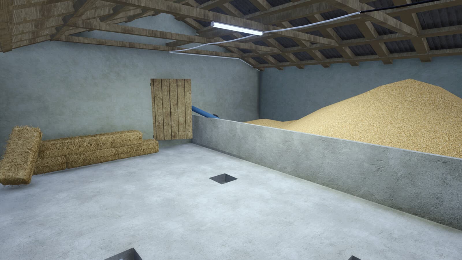 Hall And Garage 4