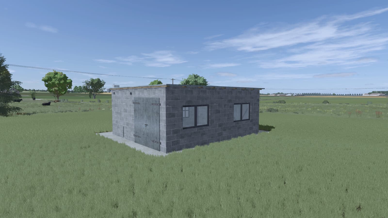 Hall And Garage 3