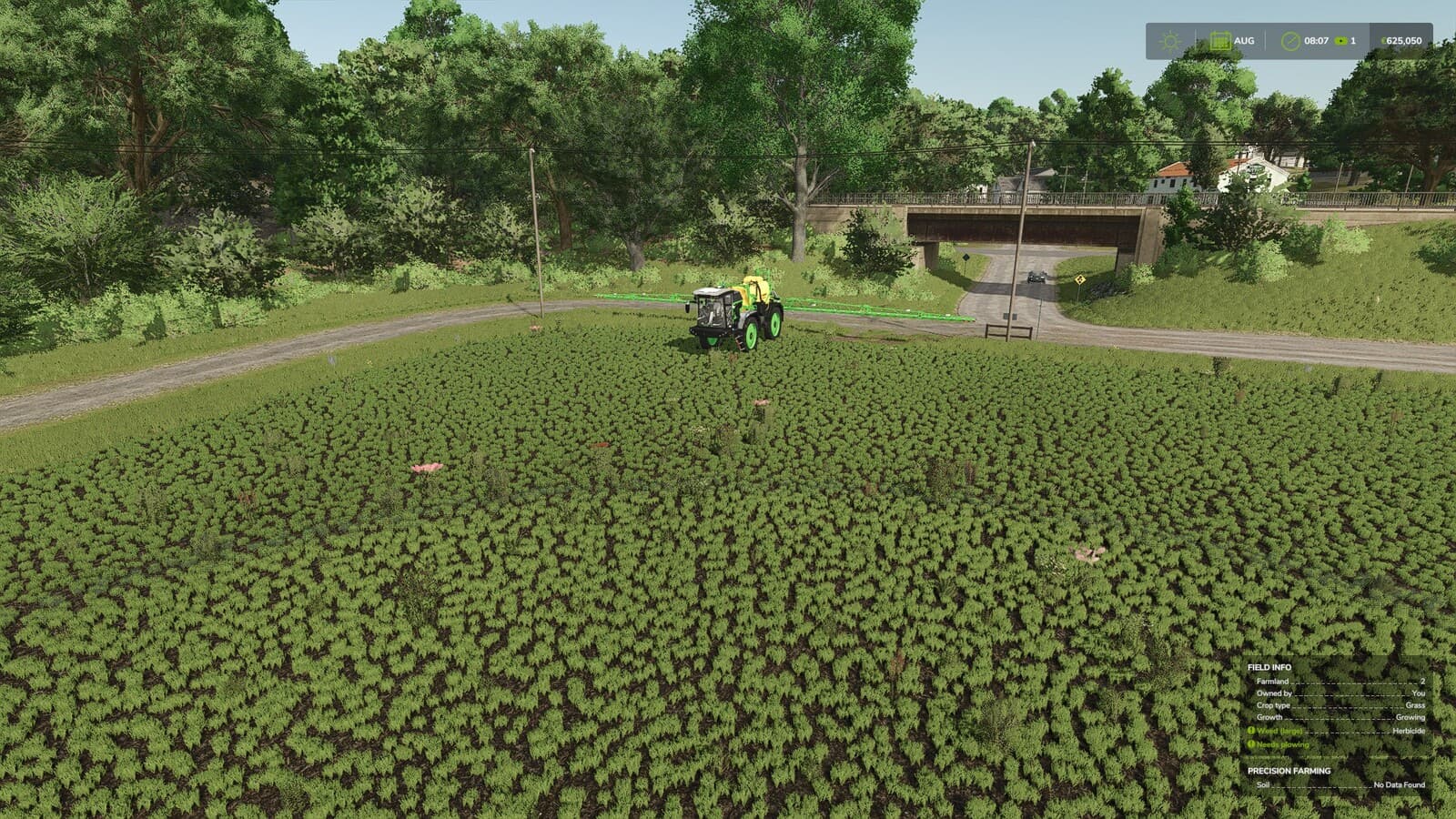 Herbicide Weed Cleanup