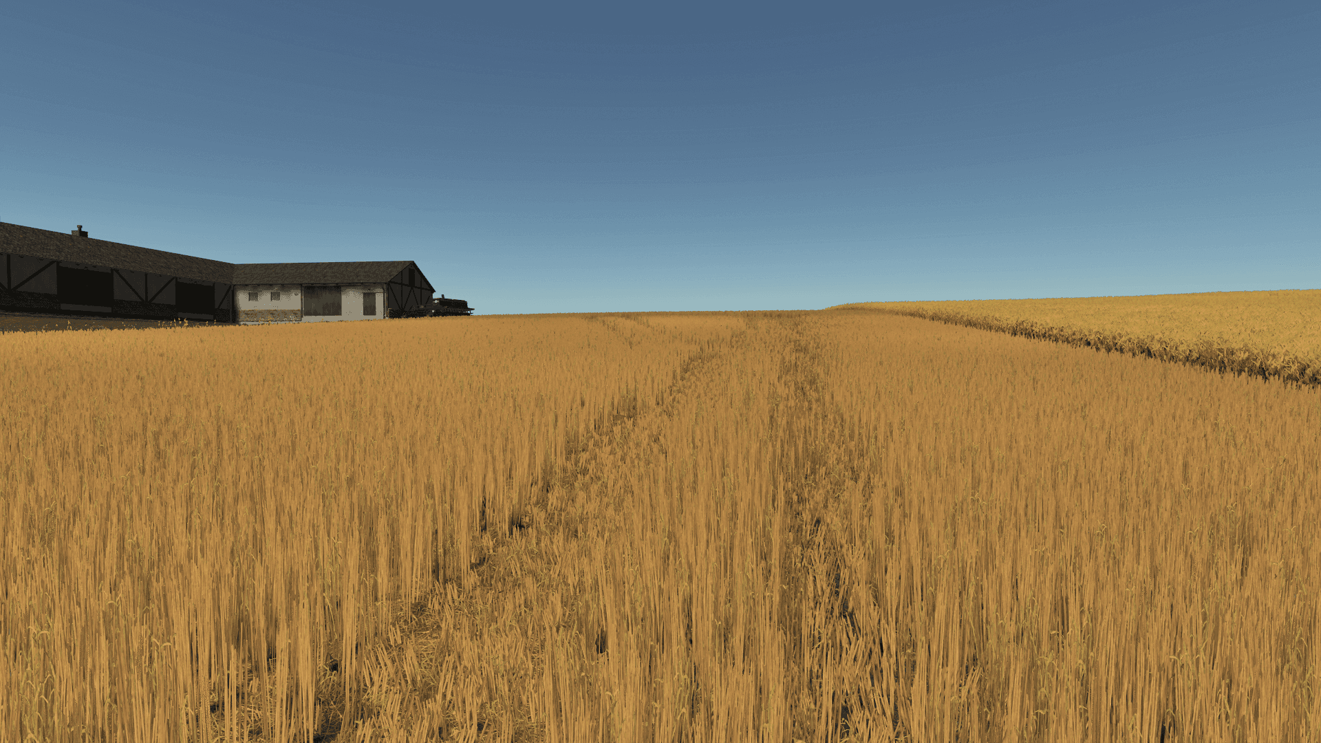 Improved Wheat XML 4