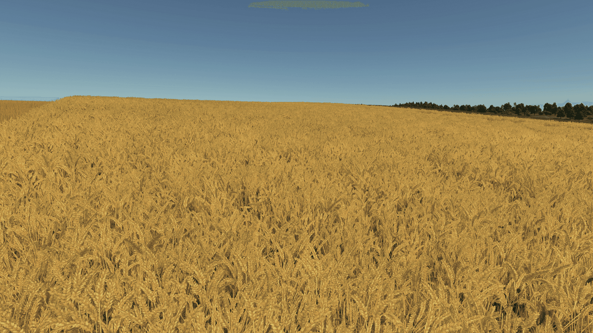 Improved Wheat XML 3