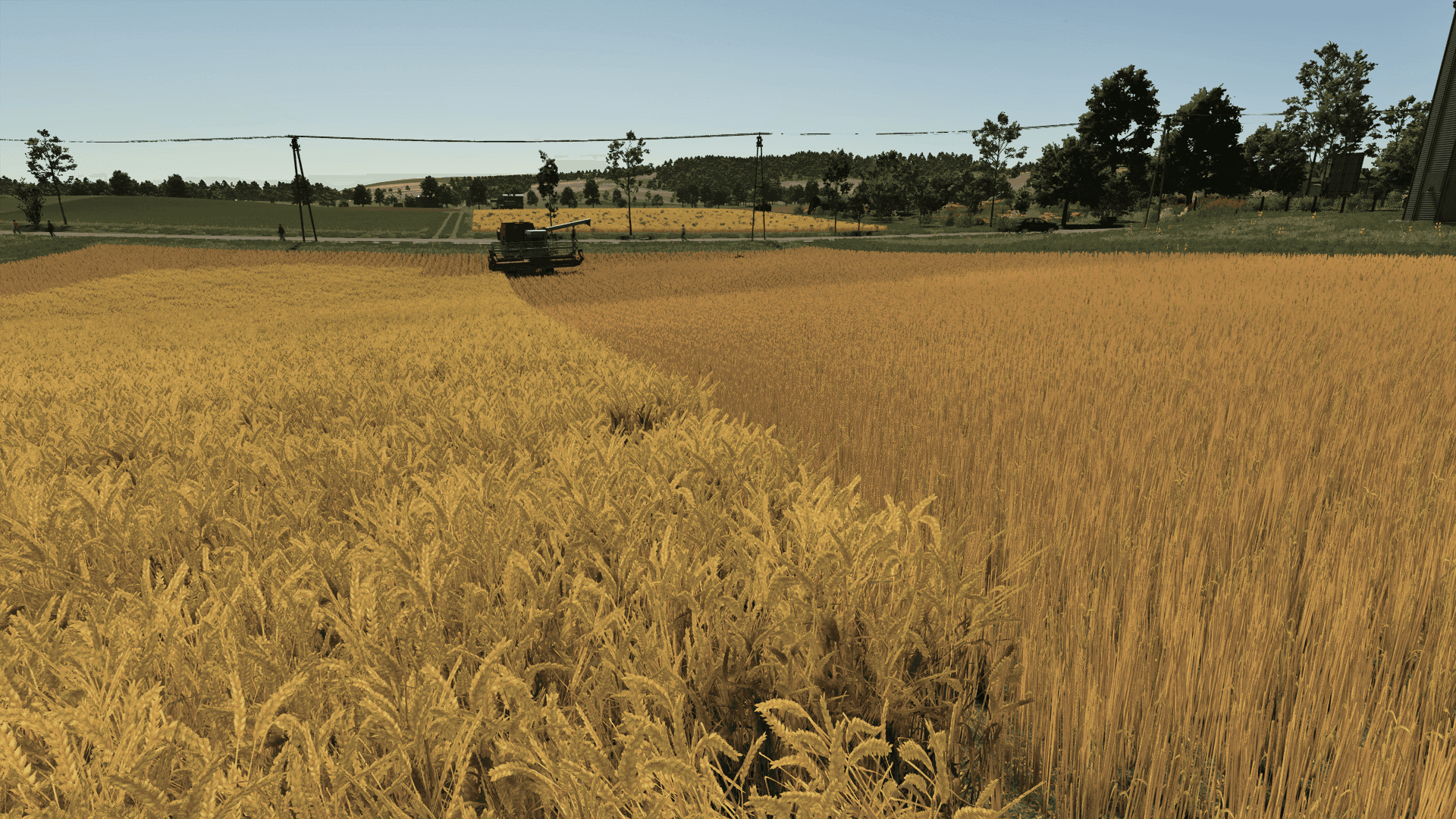 Improved Wheat XML 2