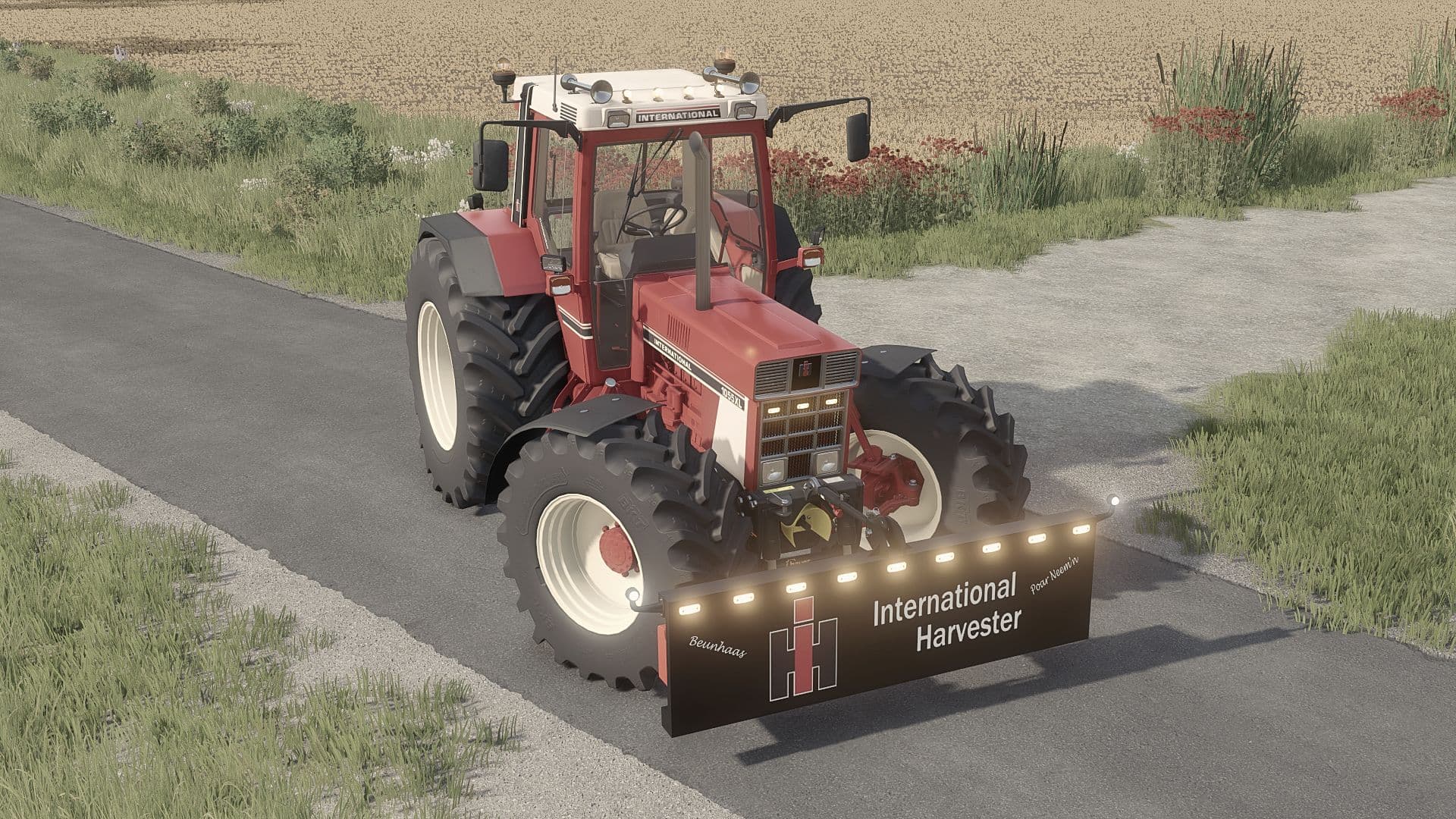 Lizard Dozer blade 2