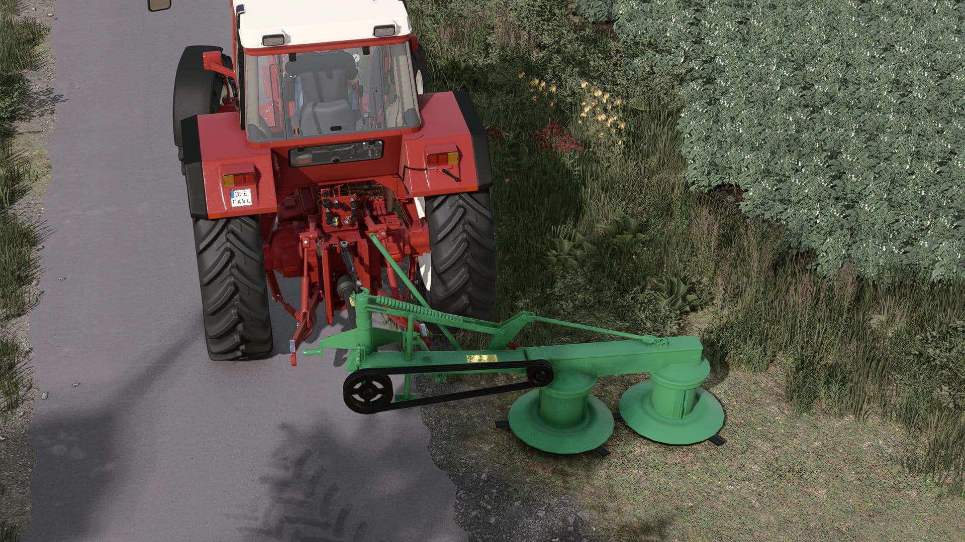 Lizard M 166 2