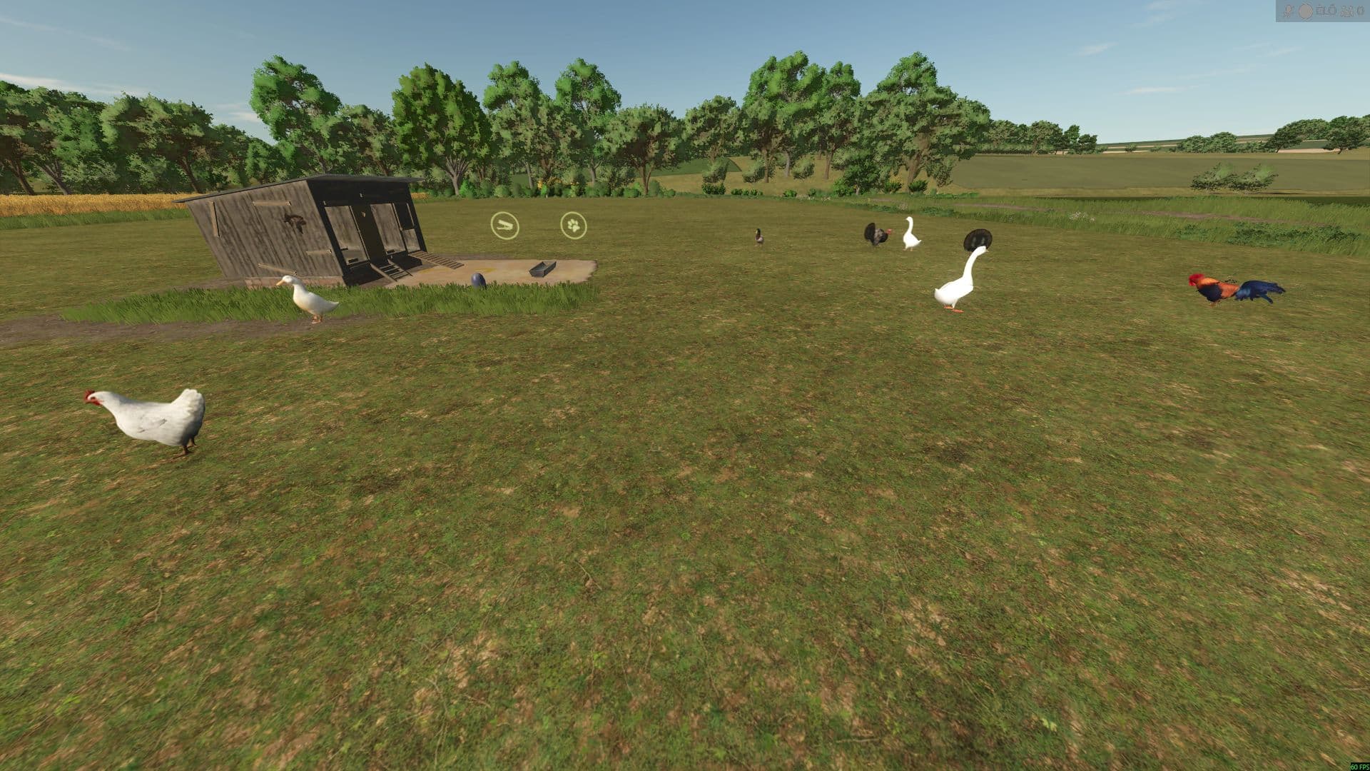 New Animals (Goose, Duck, Turkey, and Rabbit)