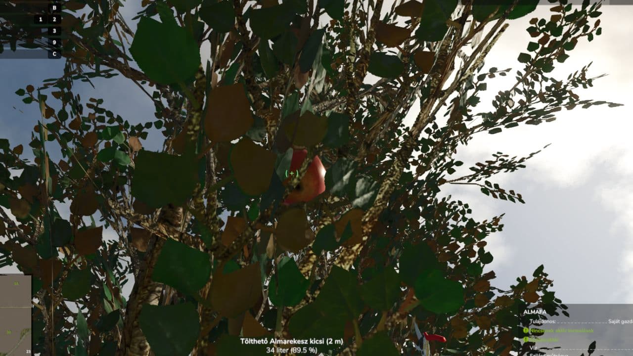 New Apple Tree 2