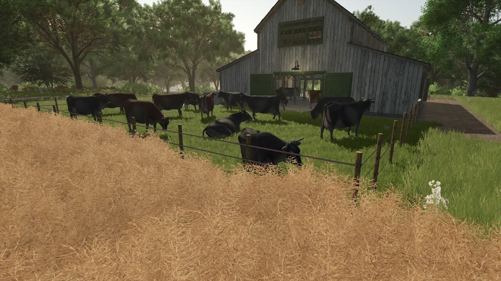 Old Cowbarn 2