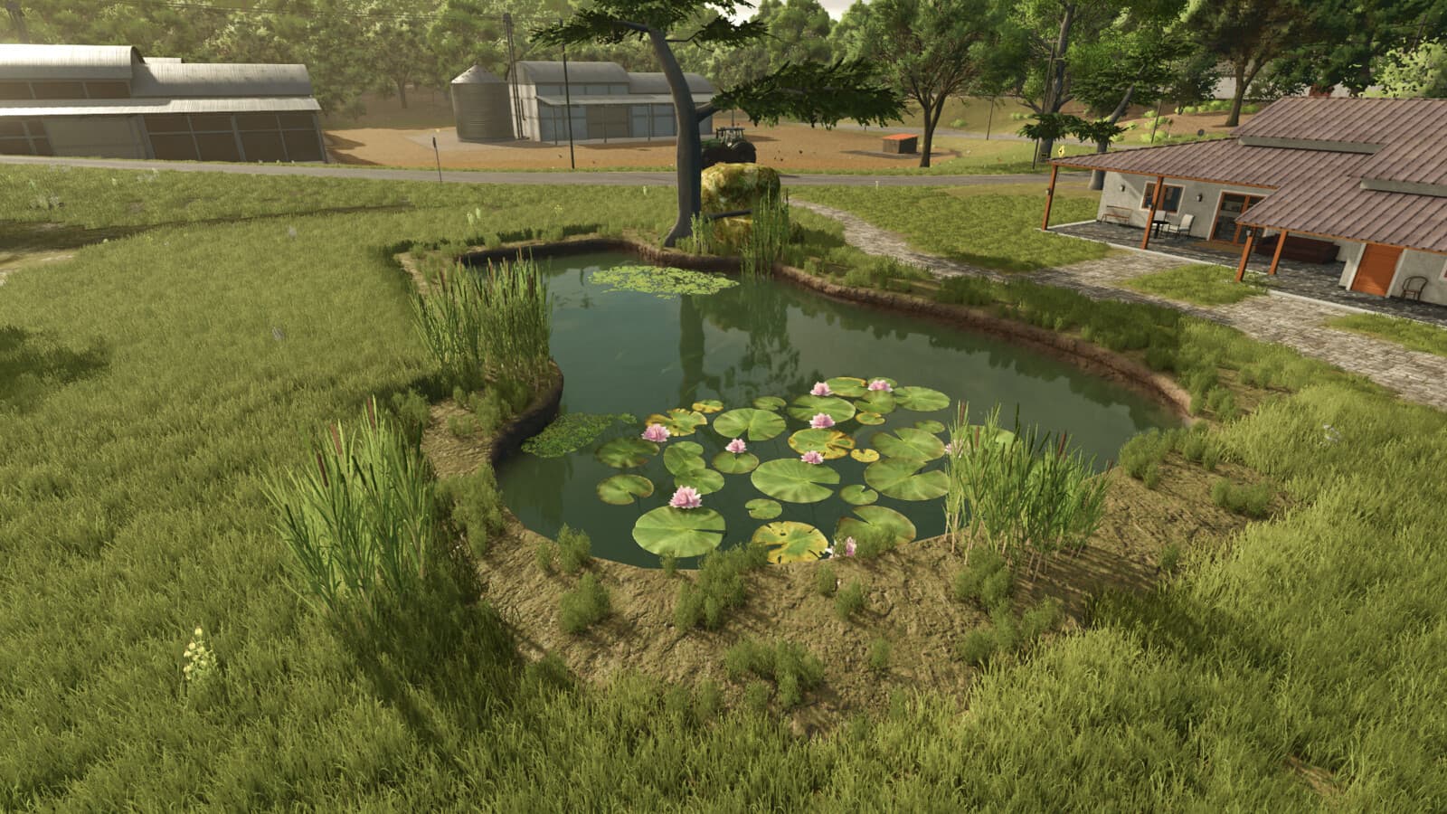Ornamental Pond 3