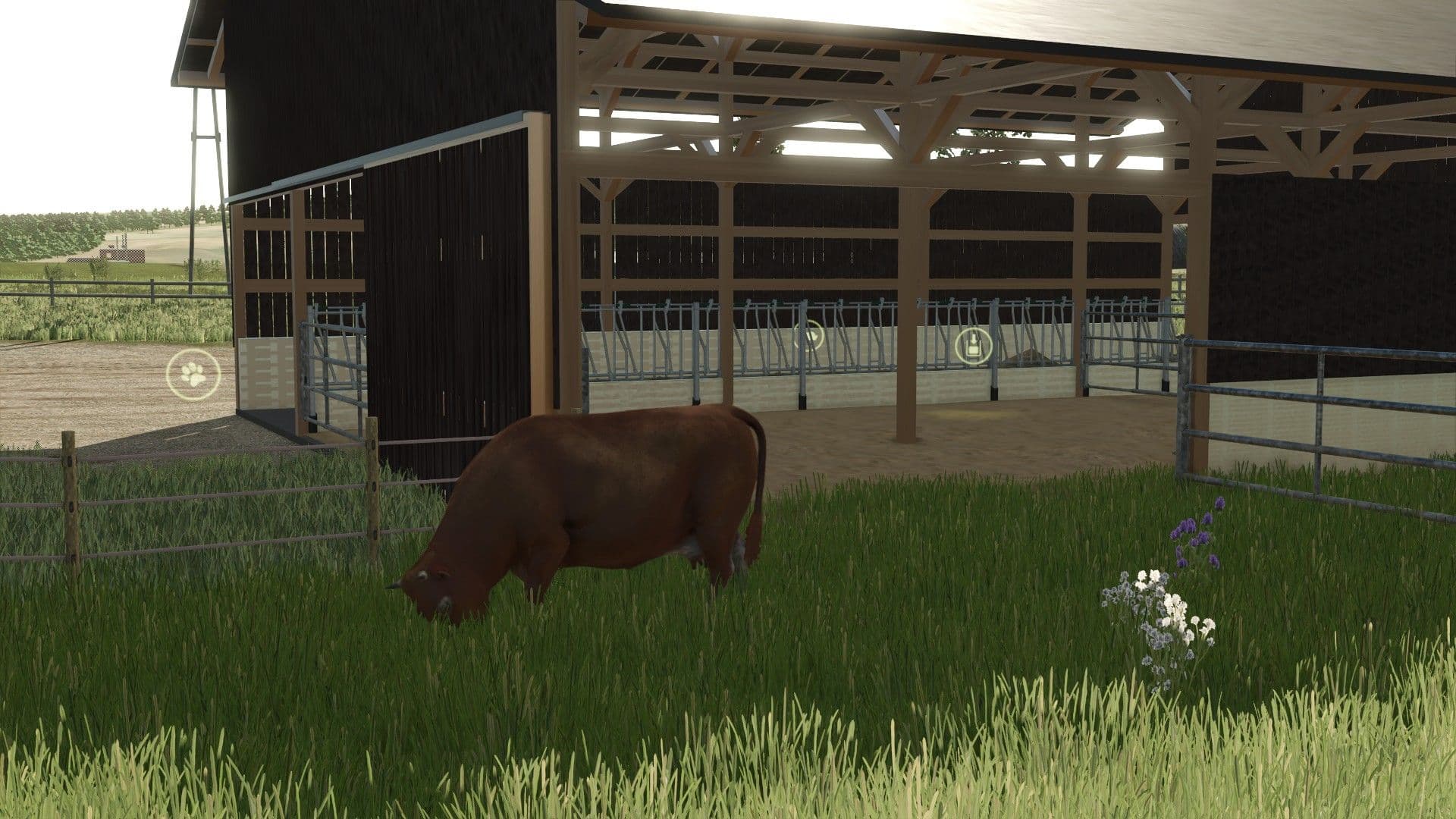 Suckler Cow Housing 2