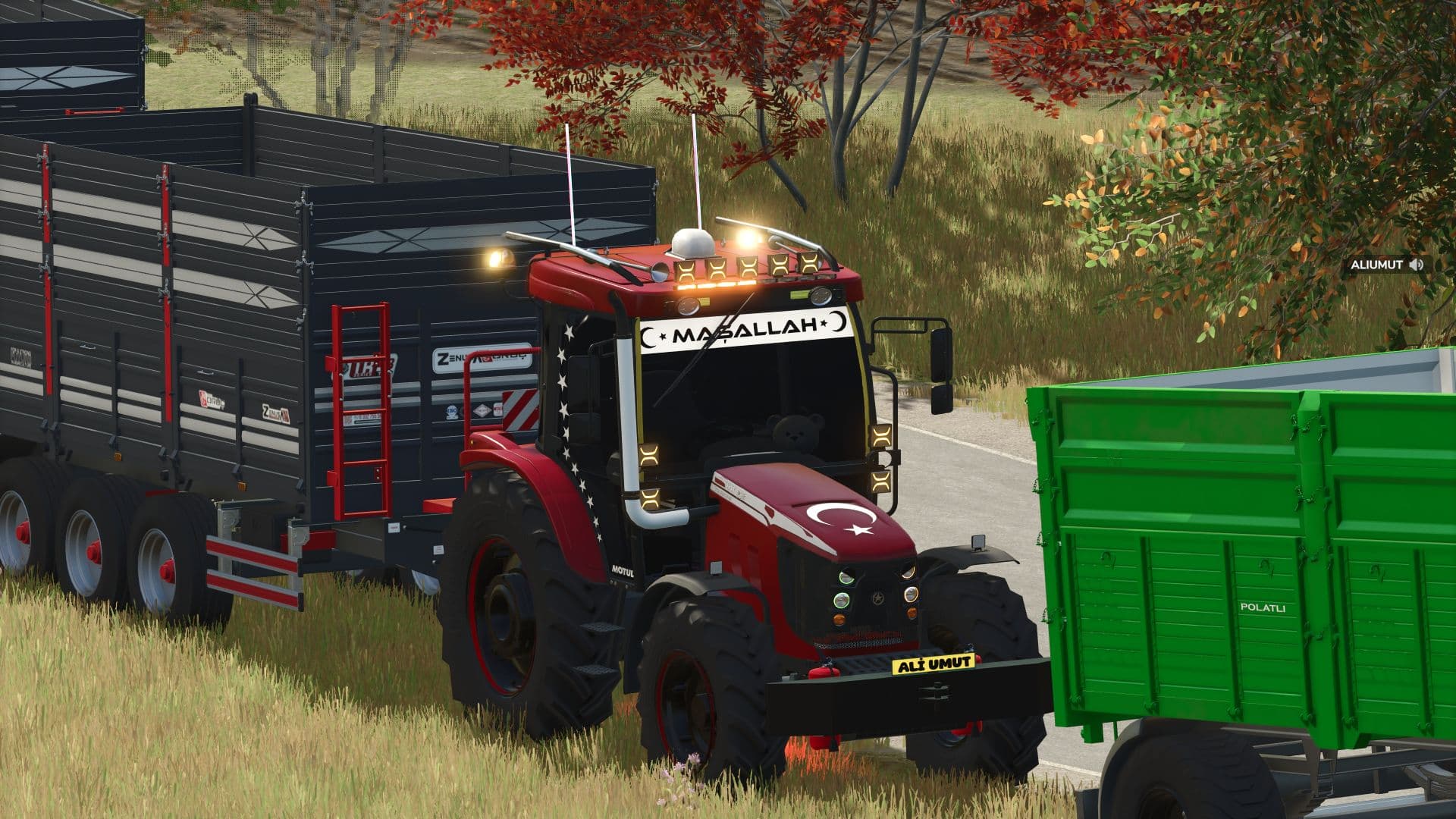 Tümosan 8195 Maxsima 4