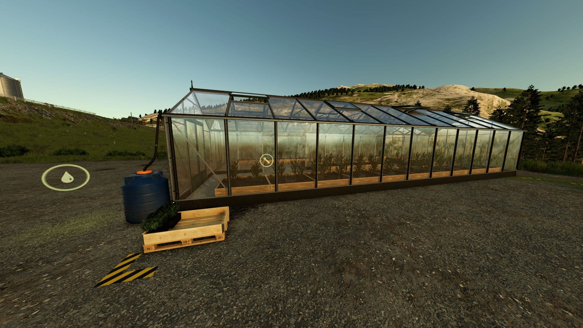 Tree saplings greenhouse