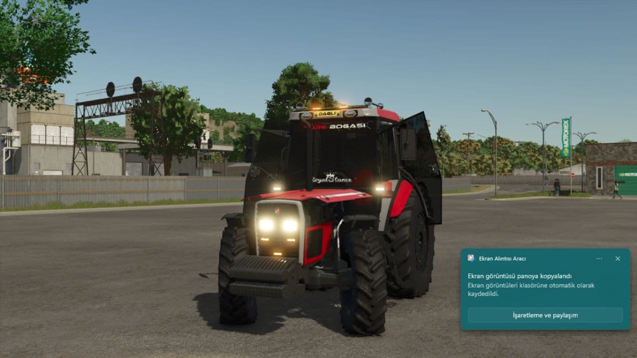 Turkish Bull / Hattat 398 4