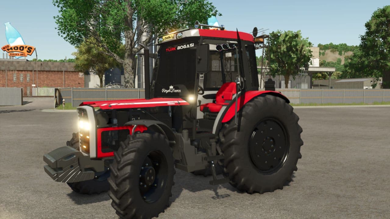 Turkish Bull / Hattat 398 2
