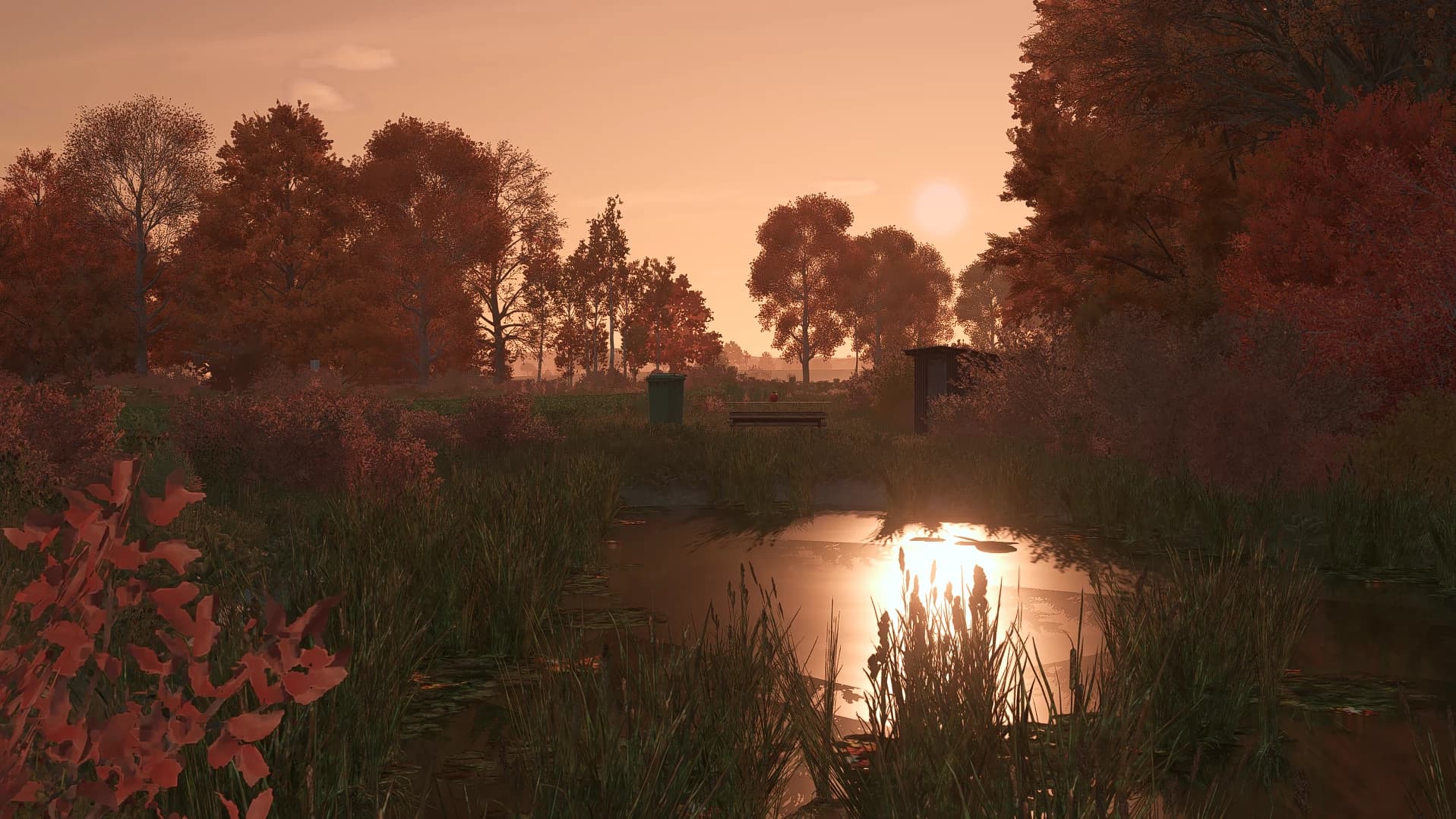 Lighting Day/Sunset/Night + Nvidia 5