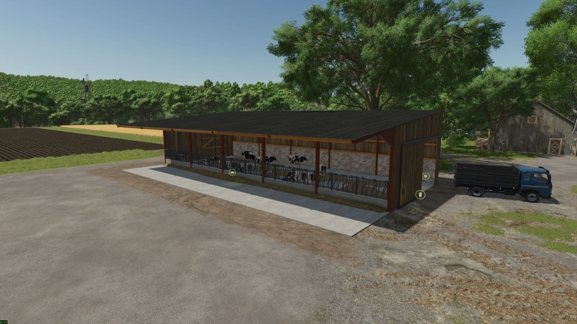 Beef cattle barn