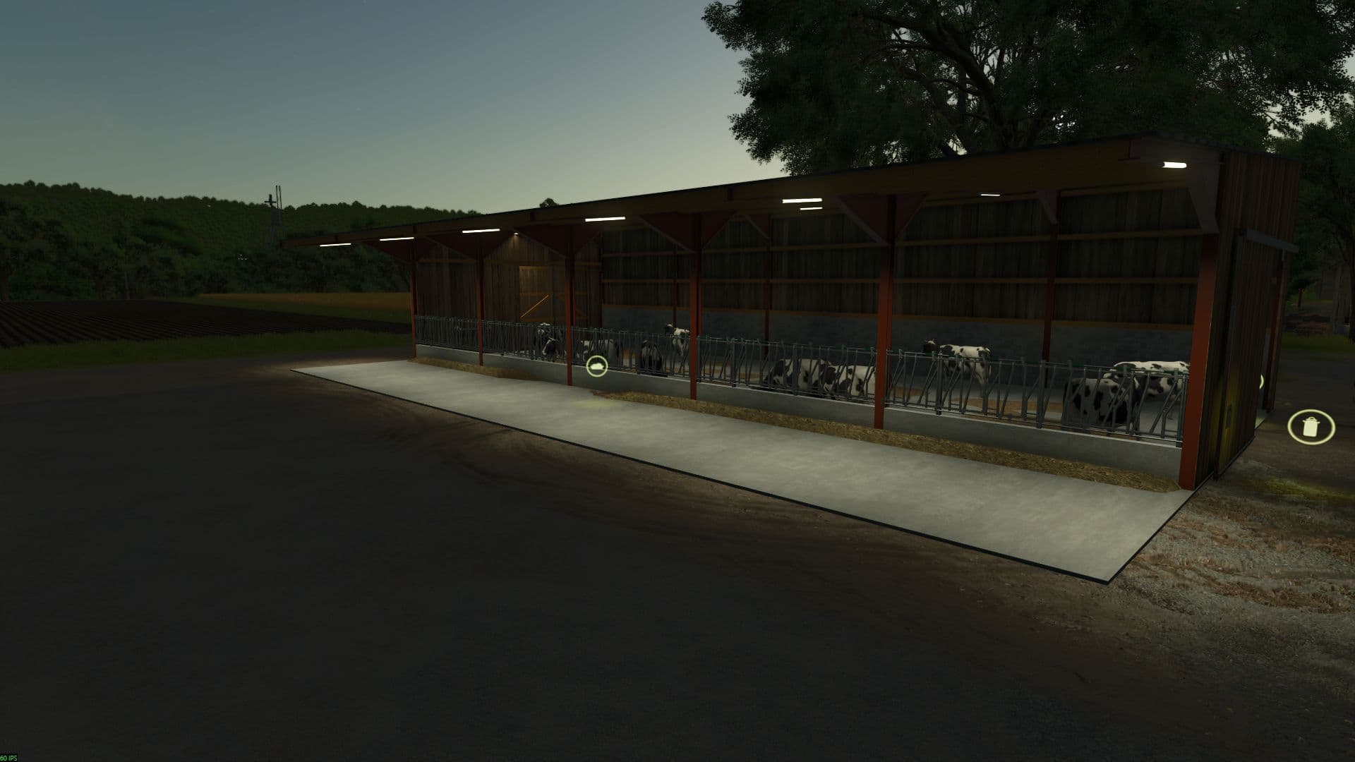 Beef cattle barn 5