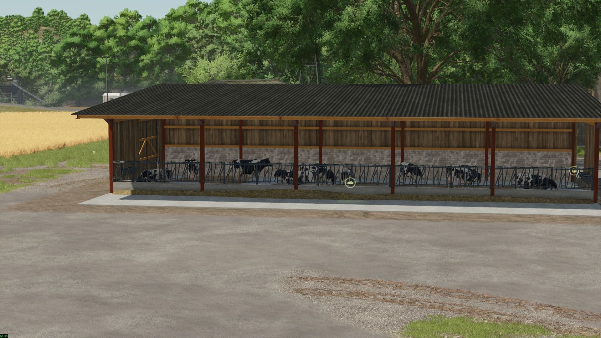 Beef cattle barn 2