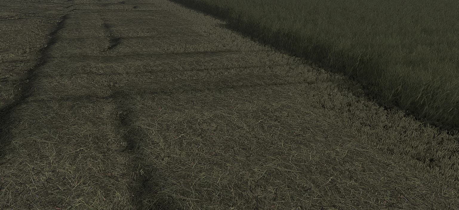 Gras Texture