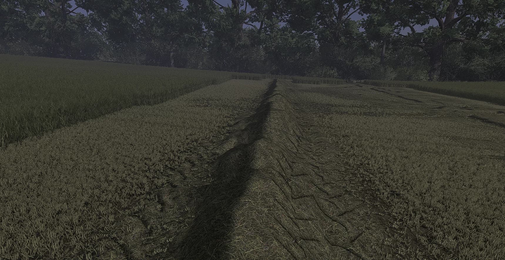 Gras Texture 3