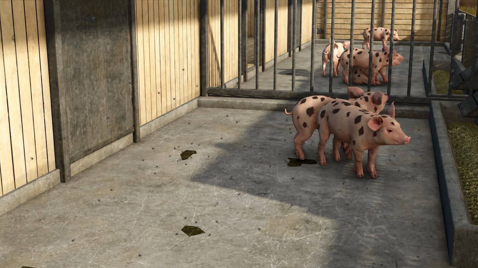 Livestock Flies 3