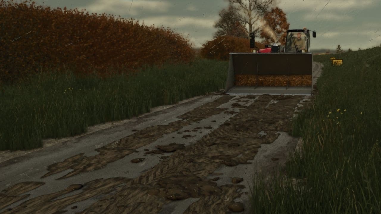 Mud on the road 4