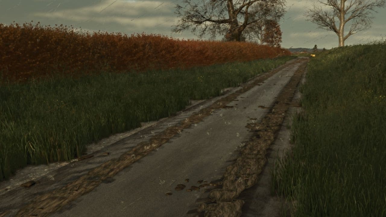 Mud on the road 3