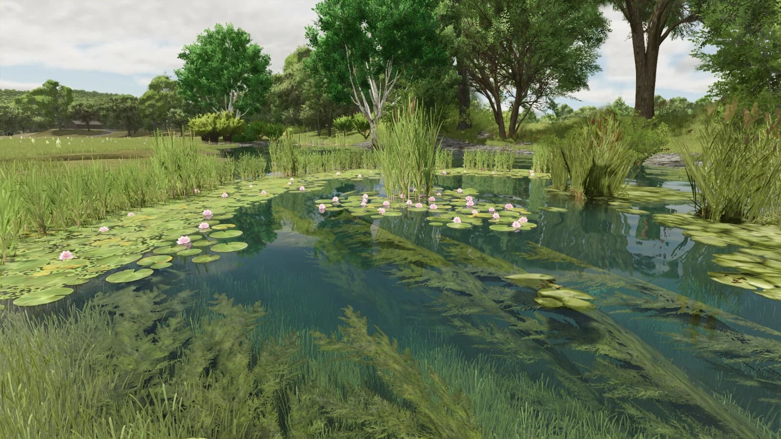 Natural Waterplants 3